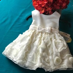 NWT American Princess 18M Special Occasion Dress